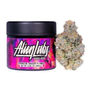 Baklava – THC : 17 %