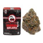 Gelato à la cerise noire – THC : 22 %