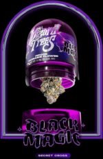 Magie Noire – THC : 27 %