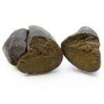 Charas – THC : 45 %