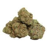 Critical Kush – THC : 18 %