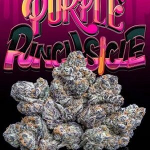 Purple Punch – THC : 26 %