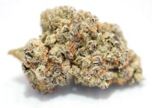Purple Punch – THC : 18 %