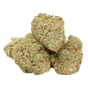 Sour Diesel – THC : 19 %