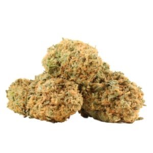 Sunset Sherbet – THC : 18 %