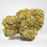 Amnesia Haze – THC : 19 %