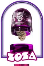 zoza – THC : 26 %